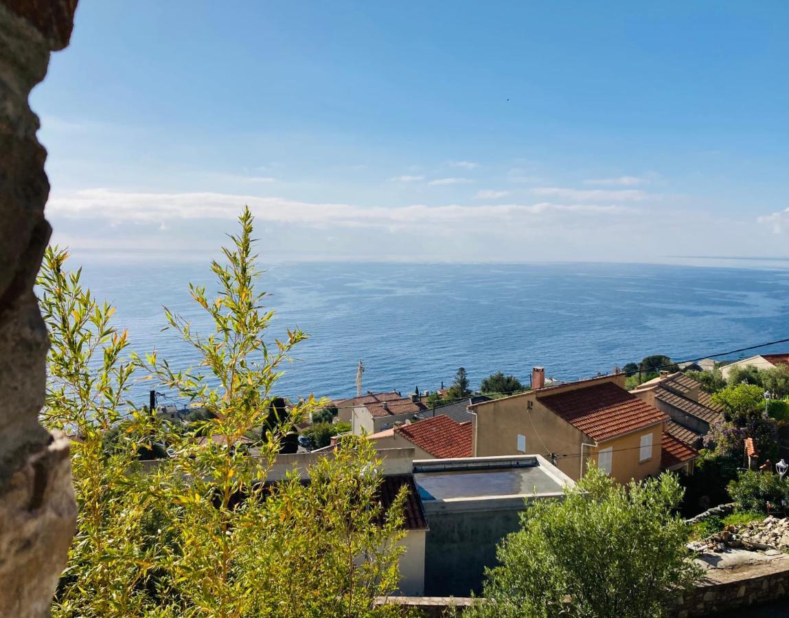 Maison Mediterraneo - Rez De Villa, Vue Imprenable Sur La Mer Pietranera Kültér fotó