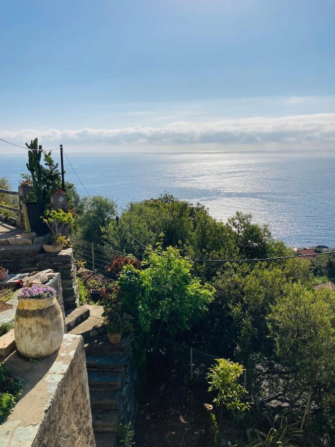 Maison Mediterraneo - Rez De Villa, Vue Imprenable Sur La Mer Pietranera Kültér fotó